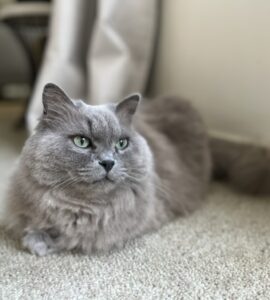 Missy